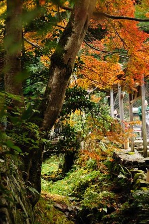 0911181100_DSC_0928
