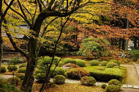 0911181204_DSC_1129