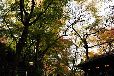 0911181240_DSC_1220