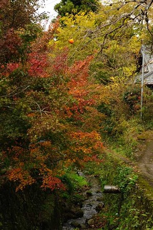 0911181251_DSC_1237