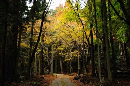 0911181326_DSC_1286