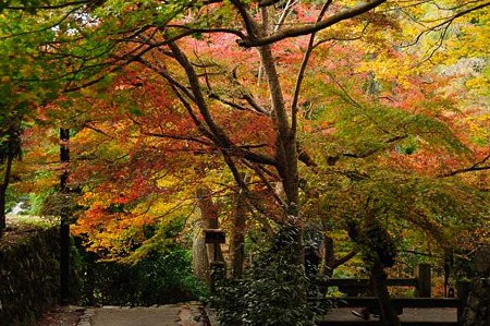 0911181551_DSC_1574