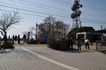 1003221431_DSC_1113