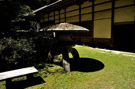 1005031247_DSC_3222