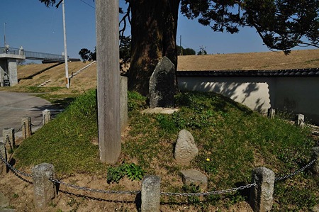 1005031431_DSC_3610
