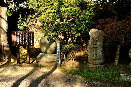 1005031614_DSC_3882