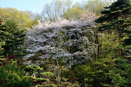 1005031626_DSC_3927