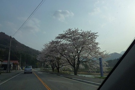 1005041619_P1660136