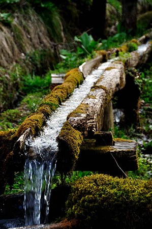 1005041716_DSC_4888
