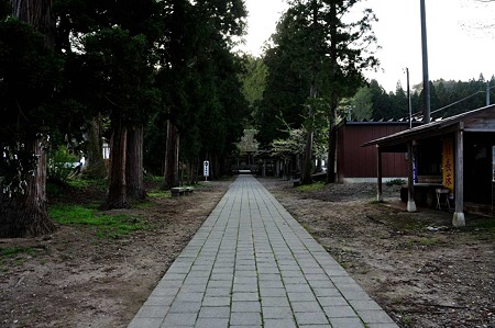 1005051706_DSC_5963
