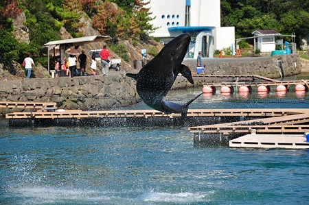 1009191423_DSC_2023