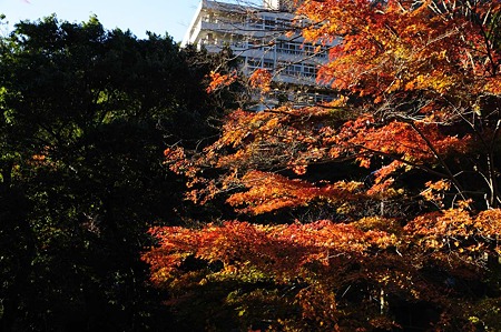 1011230734_DSC_4117