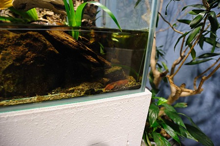 1011241354_DSC_5439