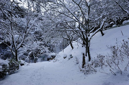 1101011149_DSC_6129