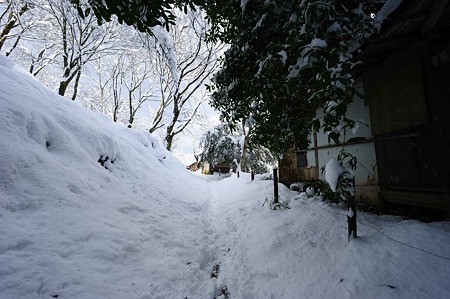 1101011208_DSC_6166