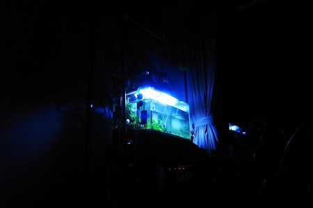 RIMG0001