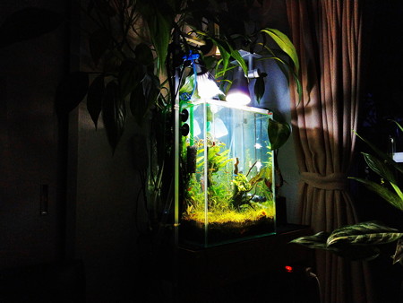 IMAG0134 (2)
