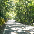 旧　碓氷峠3