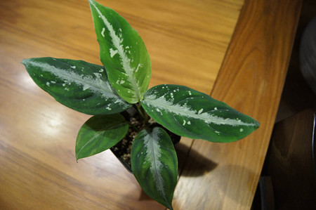 resize7671