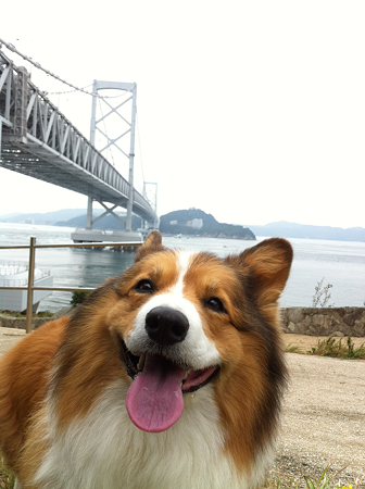 写真 1