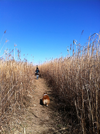 写真 2