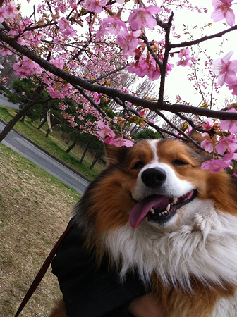 写真 1