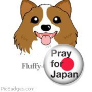 pray7_n