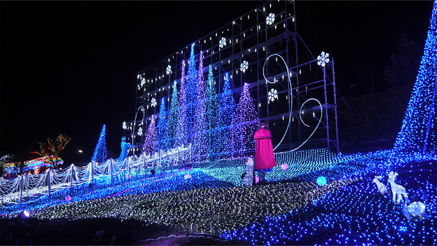 道の駅大任のクリスマスイルミ2014(1)
