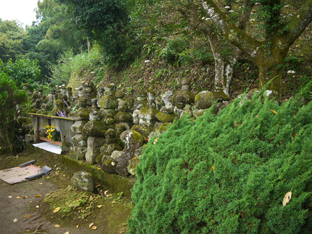 不老山正光寺・白い彼岸花まつり(6)