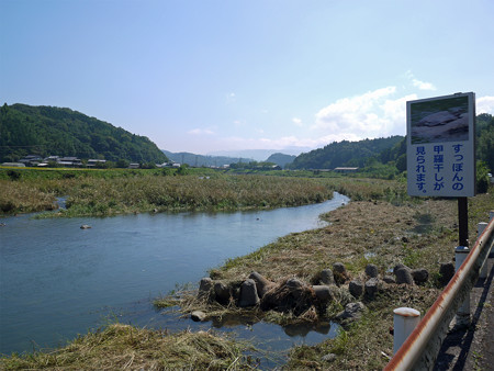 院内町・すっぽんの甲羅干し(1)