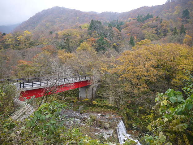 大山の紅葉(5)