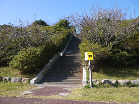 大崎鼻の駐車場・熊出没注意!?