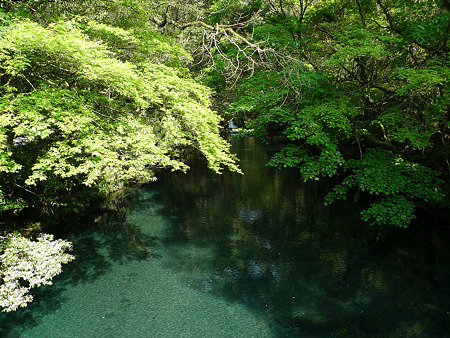 菊池渓谷(2)