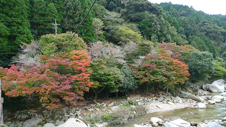筑紫耶馬渓2010(2)