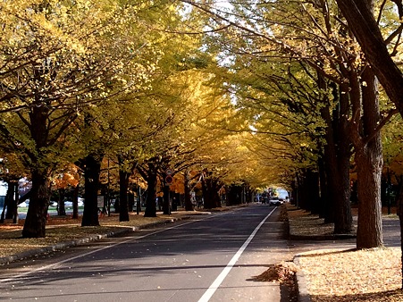 2010-11-06-5