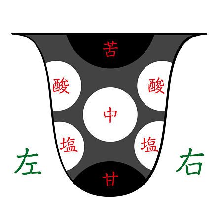 舌その7(苦味)