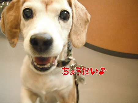 ちょうだい♪