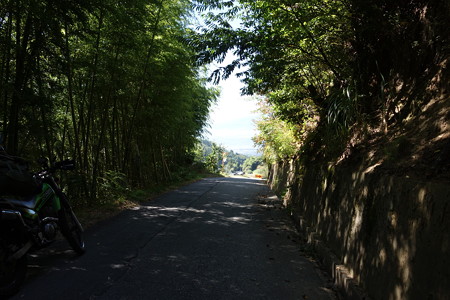 DSC05049