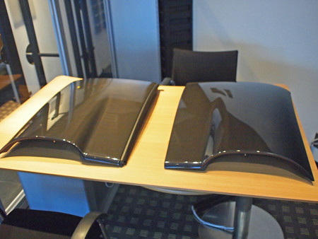 P1012868S