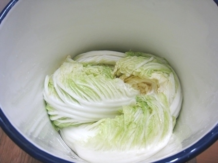 白菜・1