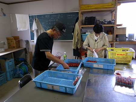 出荷作業中