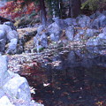 大井平公園(1)