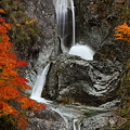 白山スーパー林道　かもしか滝と紅葉(3)