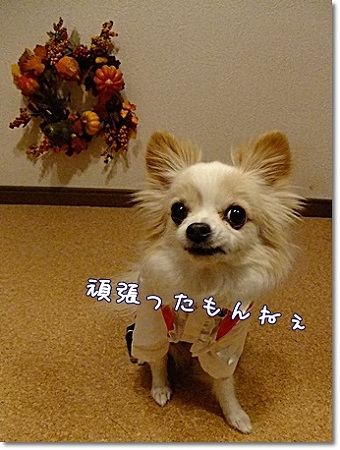 頑張った!!