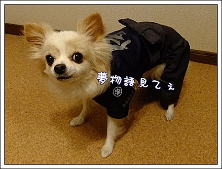 見て♪