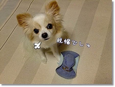 脱帽