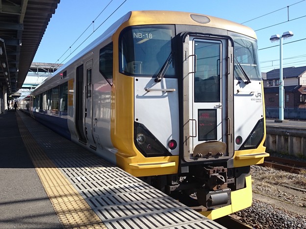 E257系 しおさい