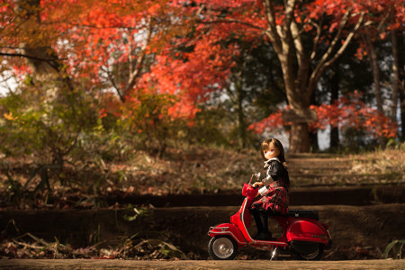 2014紅葉の鳥見山公園・5