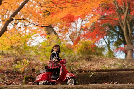 2014紅葉の鳥見山公園・6