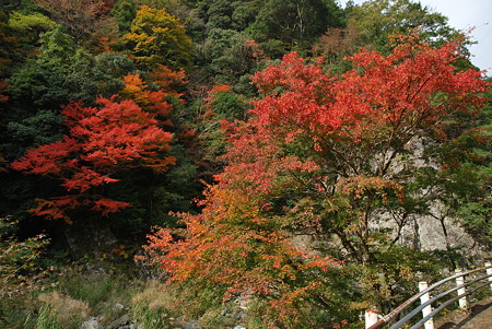2010年・紅葉のR371-3